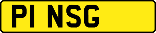 P1NSG