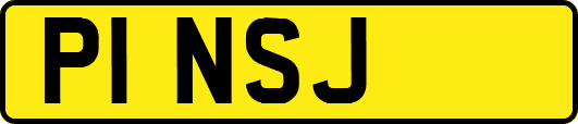 P1NSJ