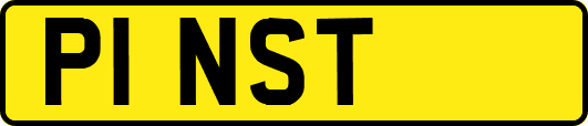 P1NST
