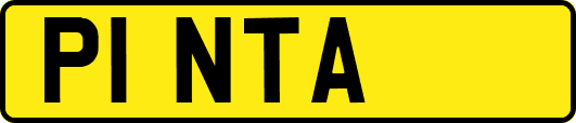 P1NTA
