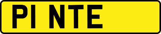 P1NTE