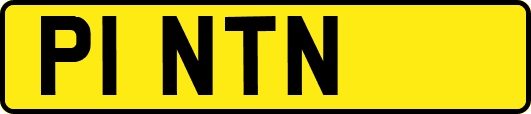 P1NTN