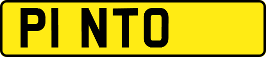 P1NTO
