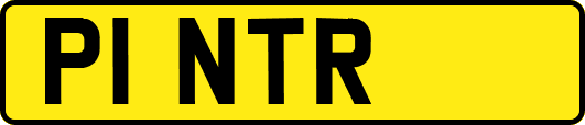 P1NTR