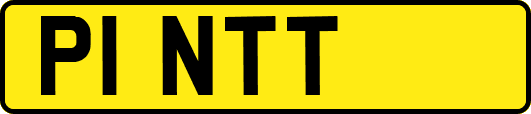 P1NTT