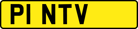 P1NTV