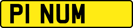 P1NUM