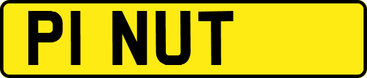 P1NUT