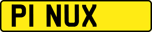 P1NUX