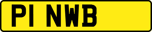 P1NWB