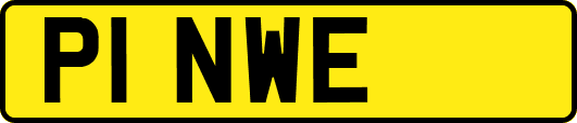 P1NWE