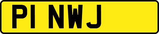P1NWJ