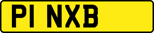 P1NXB