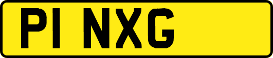 P1NXG