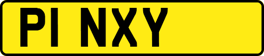 P1NXY
