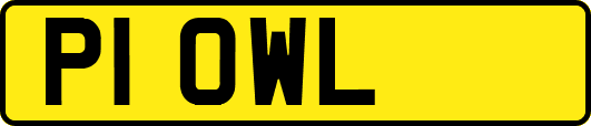 P1OWL
