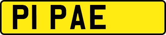 P1PAE