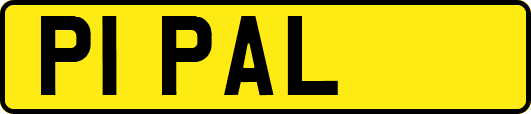 P1PAL