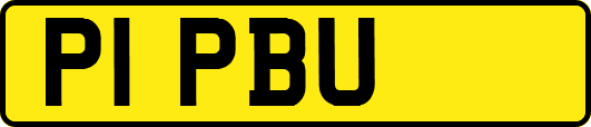 P1PBU
