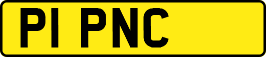 P1PNC