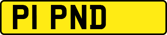 P1PND