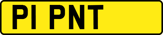 P1PNT