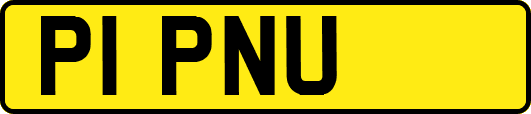 P1PNU