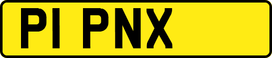 P1PNX