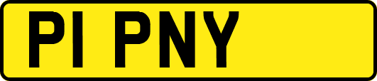 P1PNY