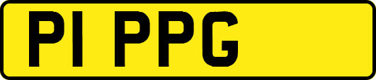 P1PPG