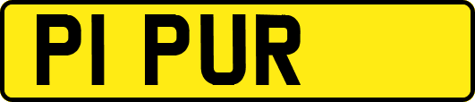 P1PUR