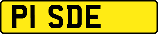 P1SDE