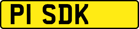 P1SDK