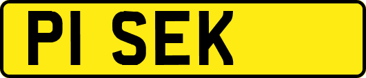 P1SEK