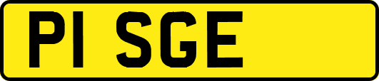 P1SGE