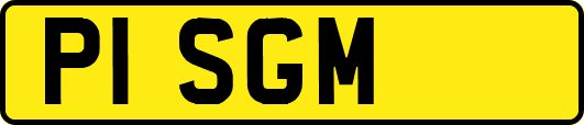P1SGM