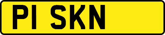 P1SKN