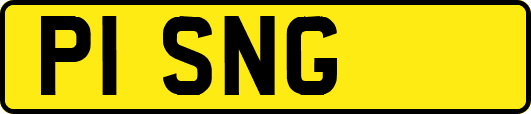 P1SNG