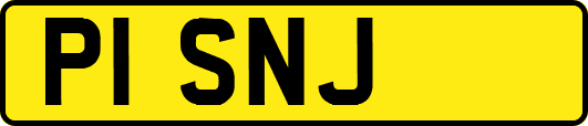 P1SNJ