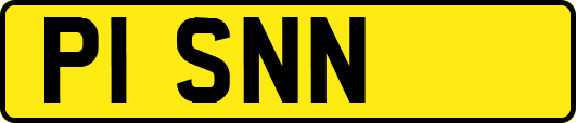 P1SNN