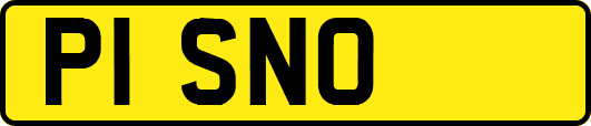 P1SNO