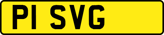 P1SVG