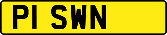 P1SWN