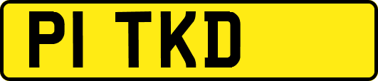 P1TKD