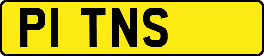 P1TNS