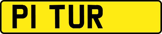 P1TUR
