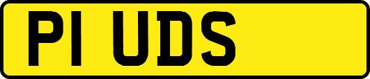 P1UDS