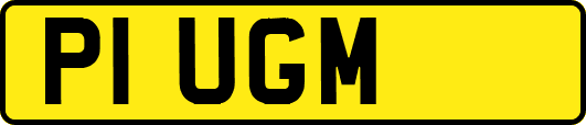 P1UGM