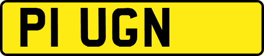 P1UGN