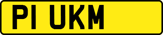 P1UKM